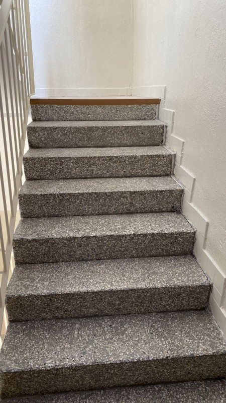 Obnova BD Bohrova 3, 5