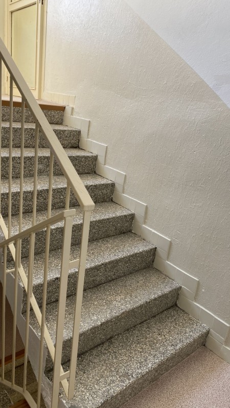 Obnova BD Bohrova 3, 5